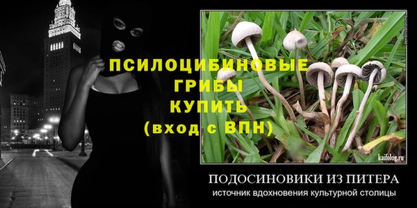 бутират Алексин