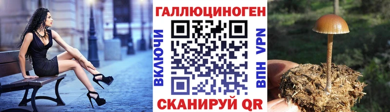 darknet наркотические препараты  где найти   Одинцово  Галлюциногенные грибы мицелий  blacksprut tor 