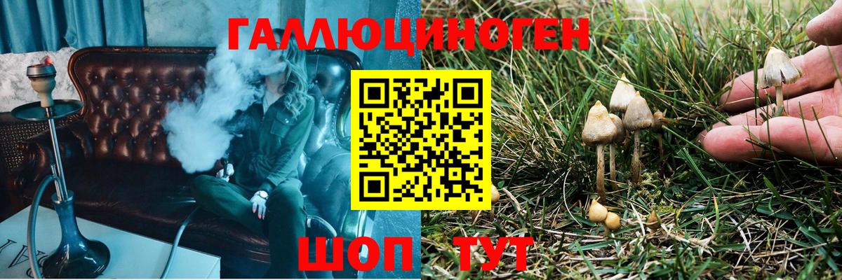 Галлюциногенные грибы прущие грибы Одинцово