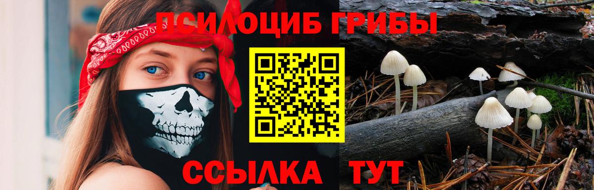 Одинцово  Галлюциногенные грибы GOLDEN TEACHER  Вход с VPN 